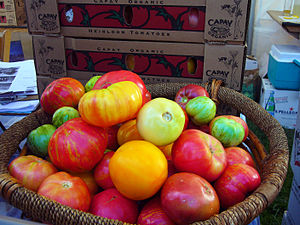 organic Heirloom tomatoes at Slow Food Nation'...