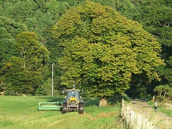 English: Harvest at Ardgowan While most of the...